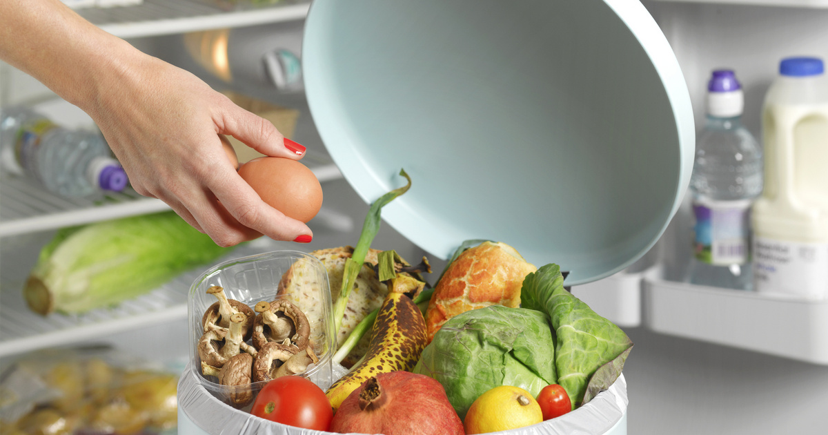 Évi 160 ezer forintot dob ki egy átlagos négyfős magyar család a kukába – Így csökkentsd az élelmiszerpazarlást