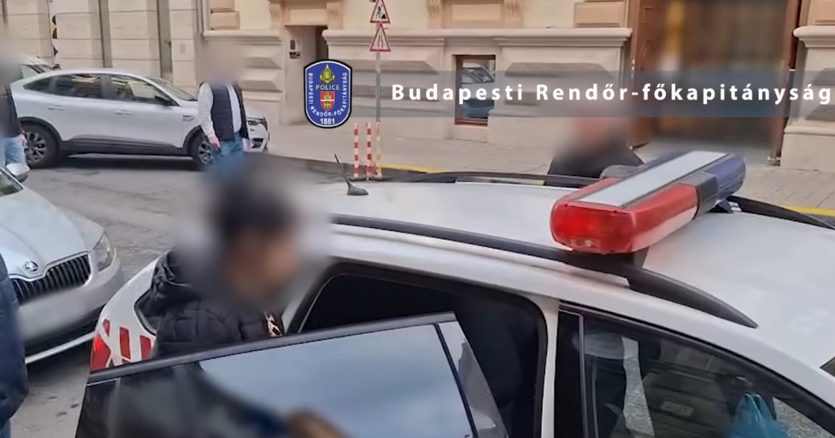 Index – Belföld – Nem először próbált gyermeket rabolni a budapesti csecsemőtolvaj