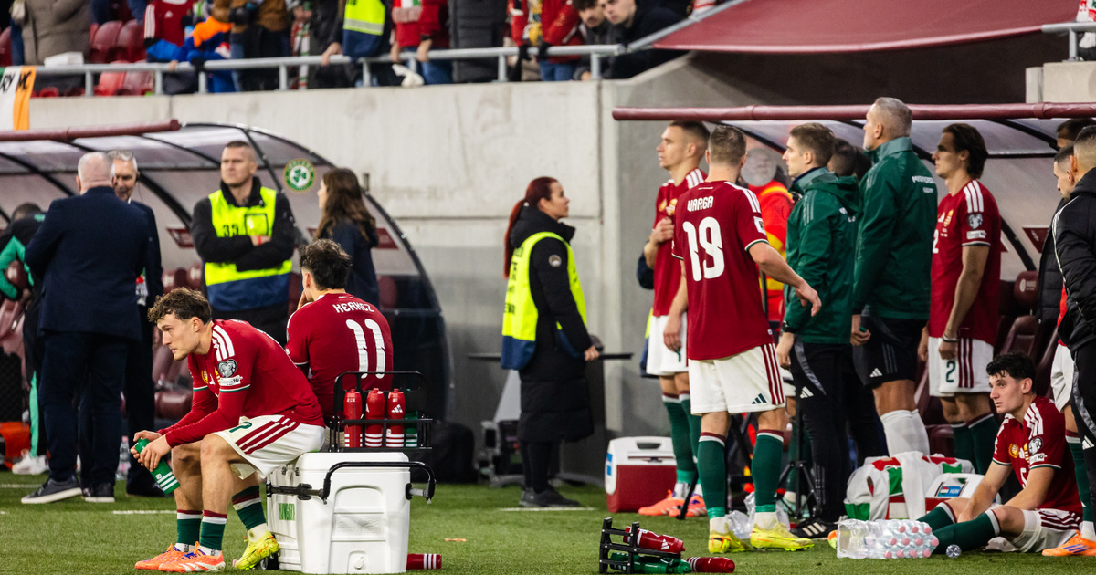 Csernus Imre: Kib*sznám a válogatottból az összes mentálisan alkalmatlan sztárt