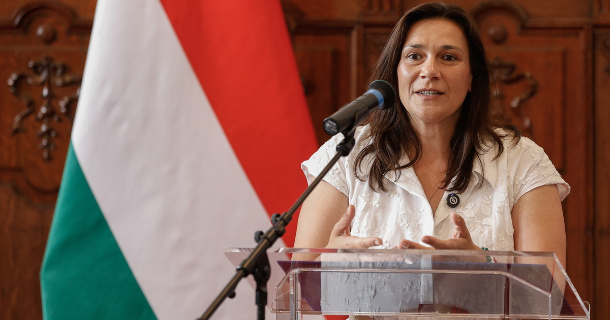 Index – Belföld – Miniszterelnöki biztos lett Kardosné Gyurkó Katalin, a nevelőszülői rendszerért fo…