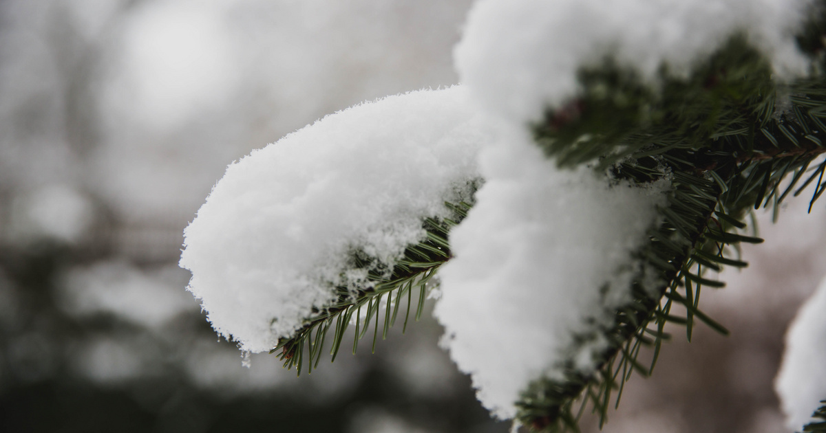 Ezt nem láttuk jönni: leesett az első hó, fotókon a fehérbe borult táj
