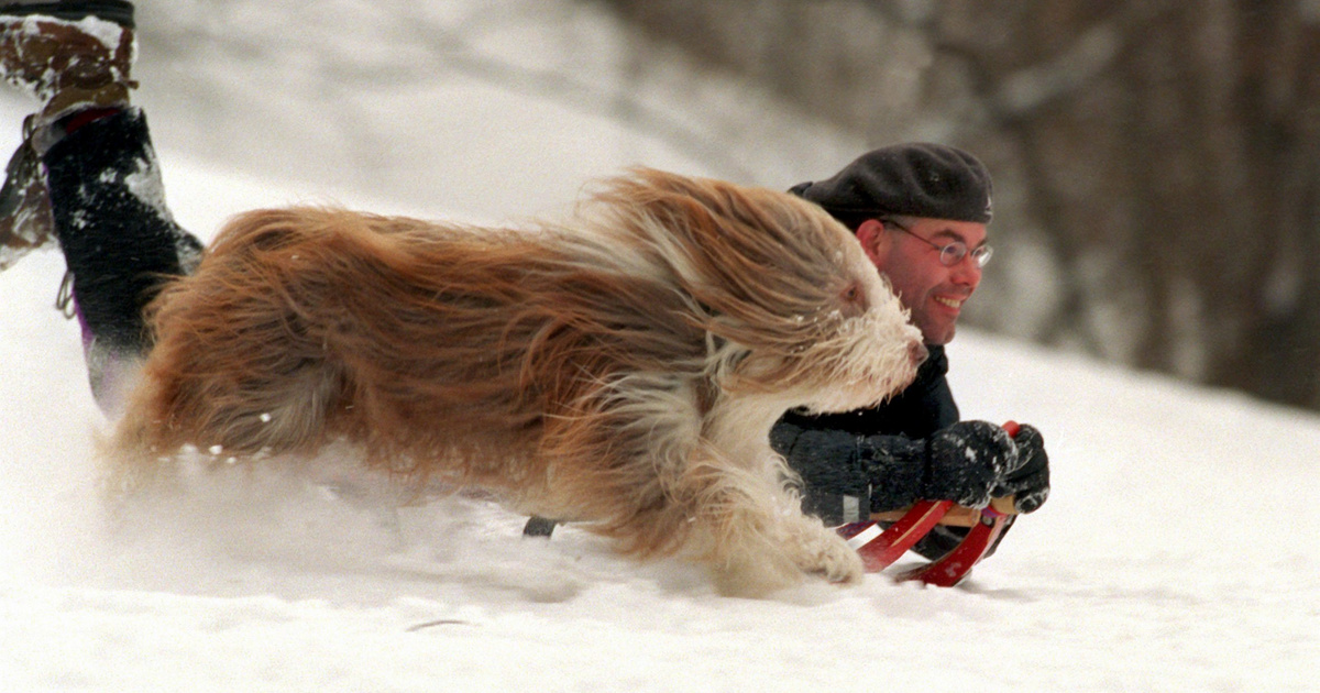 A klímasoviniszták ellopták a telet