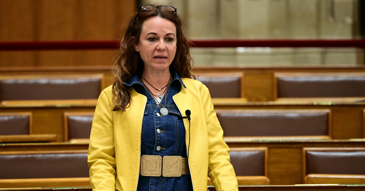 Akkora balhé lett Szabó Tímea ügyéből, hogy megvonták egyhavi tiszteletdíját