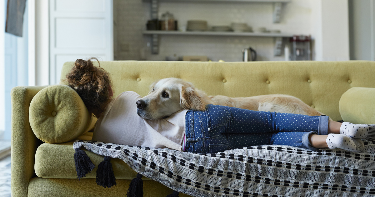 Ezért reagálnak a kutyák percekkel a veszély előtt, és mentik meg az életünket