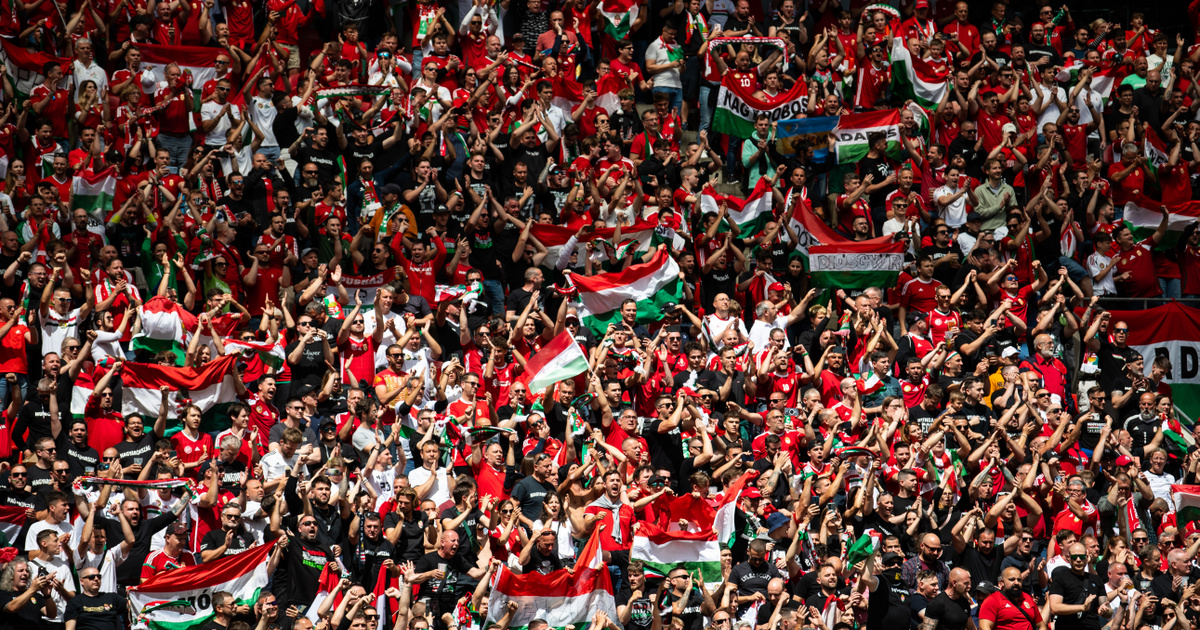 Te nem szereted az Egészséges Arcoktól a Nélkülemet?