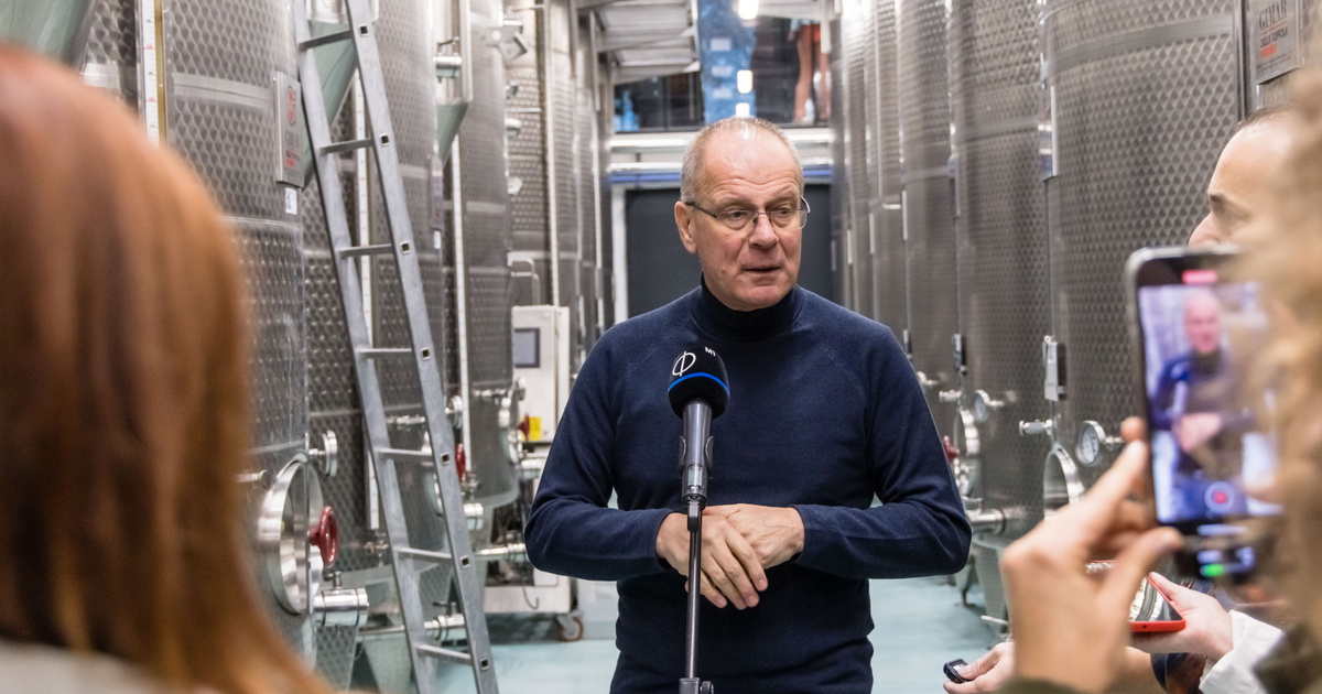 Index – Belföld – Lépett a kormány a végzetes szőlőbetegség ügyében