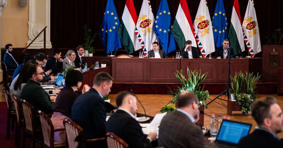 Index – Belföld – Szavazott a fővárosi bírálóbizottság a BKK és a BKV vezetéséről