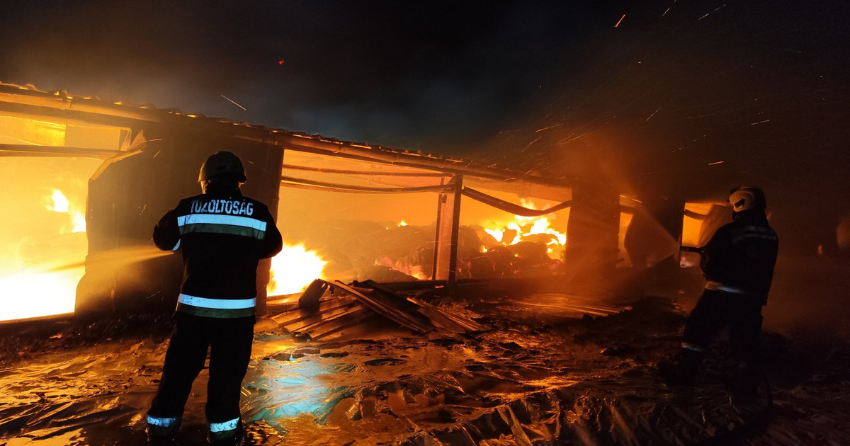 Három nap után megfékezte a lajosmizsei tüzet a katasztrófavédelem
