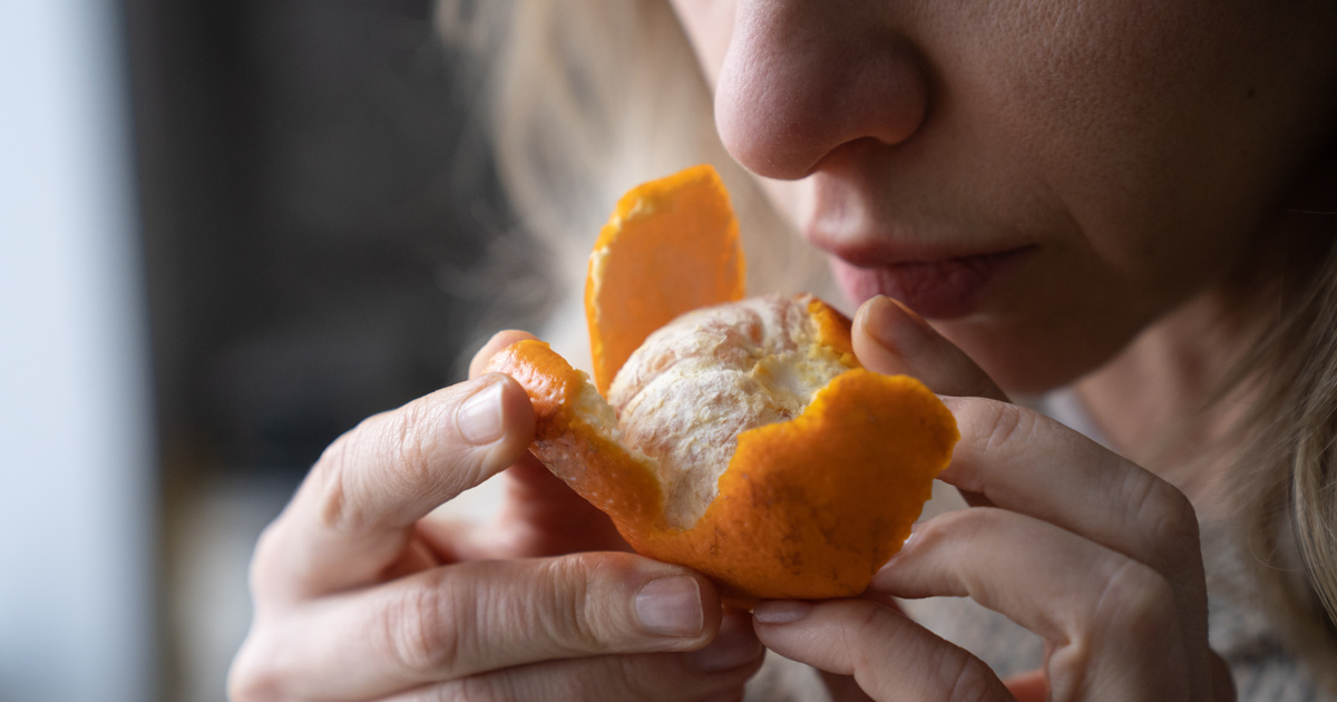 Forradalmi felfedezést tettek az agykutatók a szaglásunkkal kapcsolatban