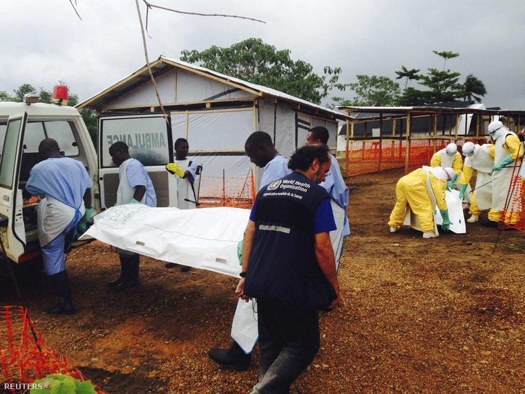 Önkéntesek dolgoznak az Orvosok Határok Nélkül egyik kezelőközpontjában, Sierra Leone-ban, Kailahun településnél, 2014. július 18-án.