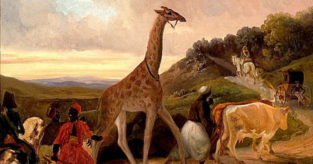 Az év, amikor Párizs tele lett zsiráfnőkkel