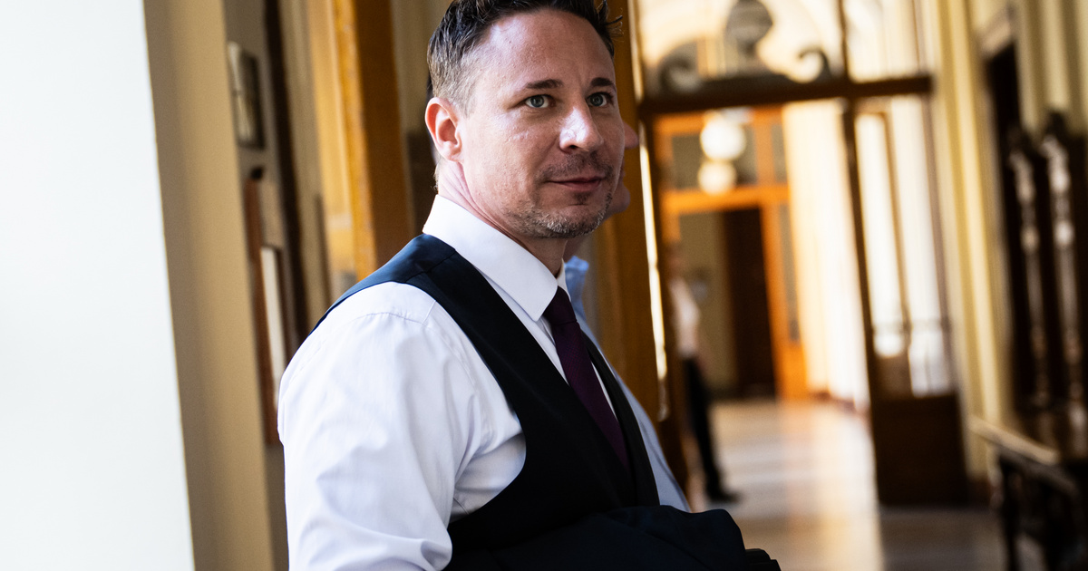 Index – Belföld – Titokzatos tanú szólalt meg a Schadl-ügyben: 20-25 millióért lehetett valaki végre…