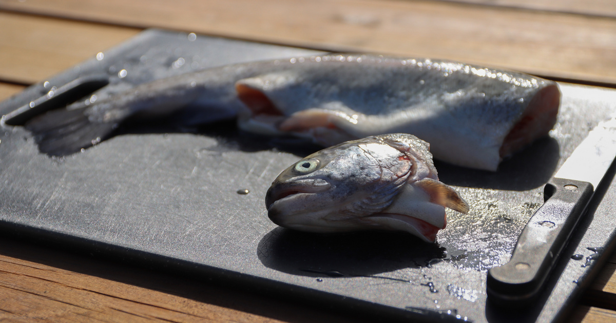 Bele ne harapj ha ilyen húst vettél! Baktérium miatt hívták vissza
