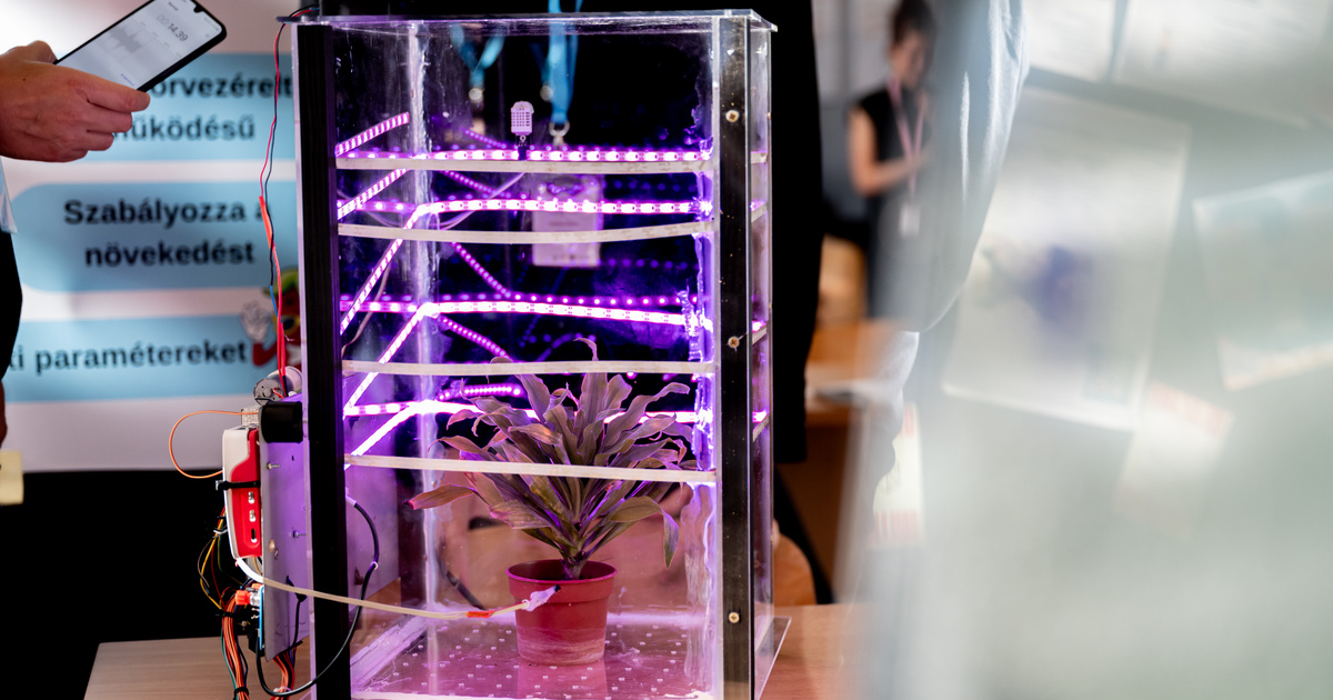 Okosceruza remegő kezűeknek, cigicsikk-visszaváltó – itt vannak a legkreatívabb magyar innovációk