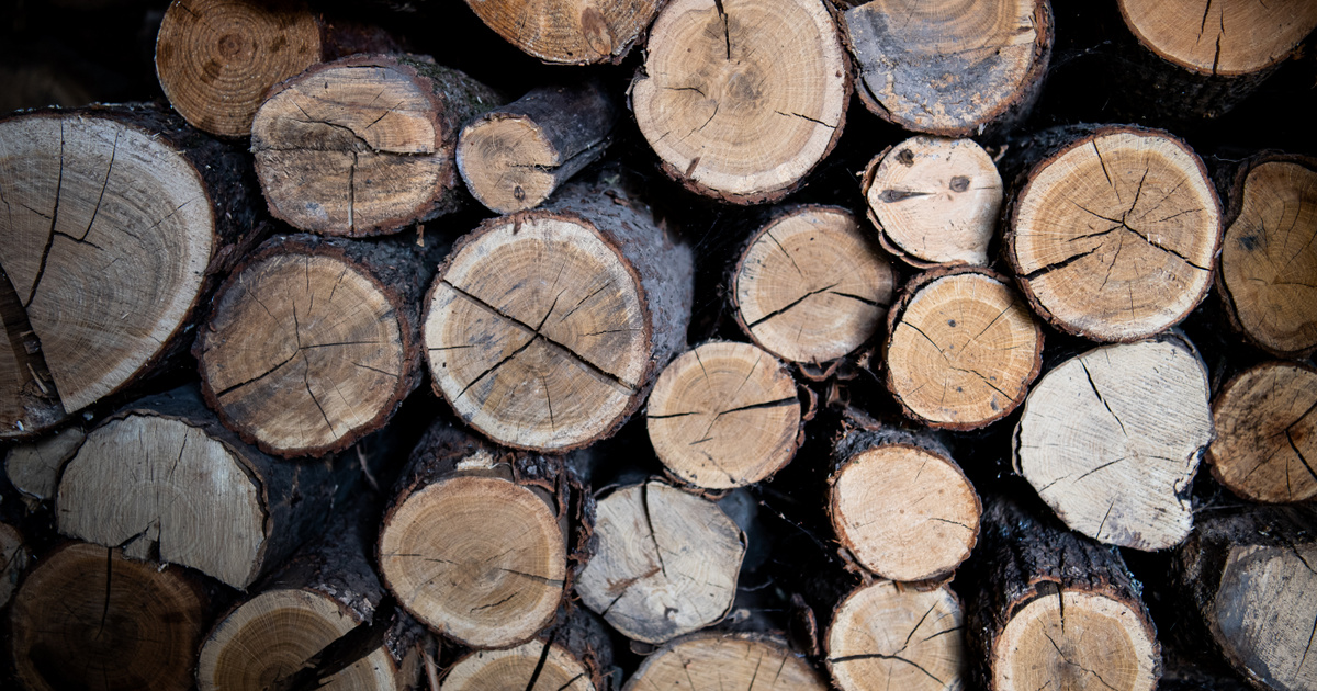 Egyre több család marad hidegben, mert drágul a tűzifa és a kormány nem emeli meg a keretet