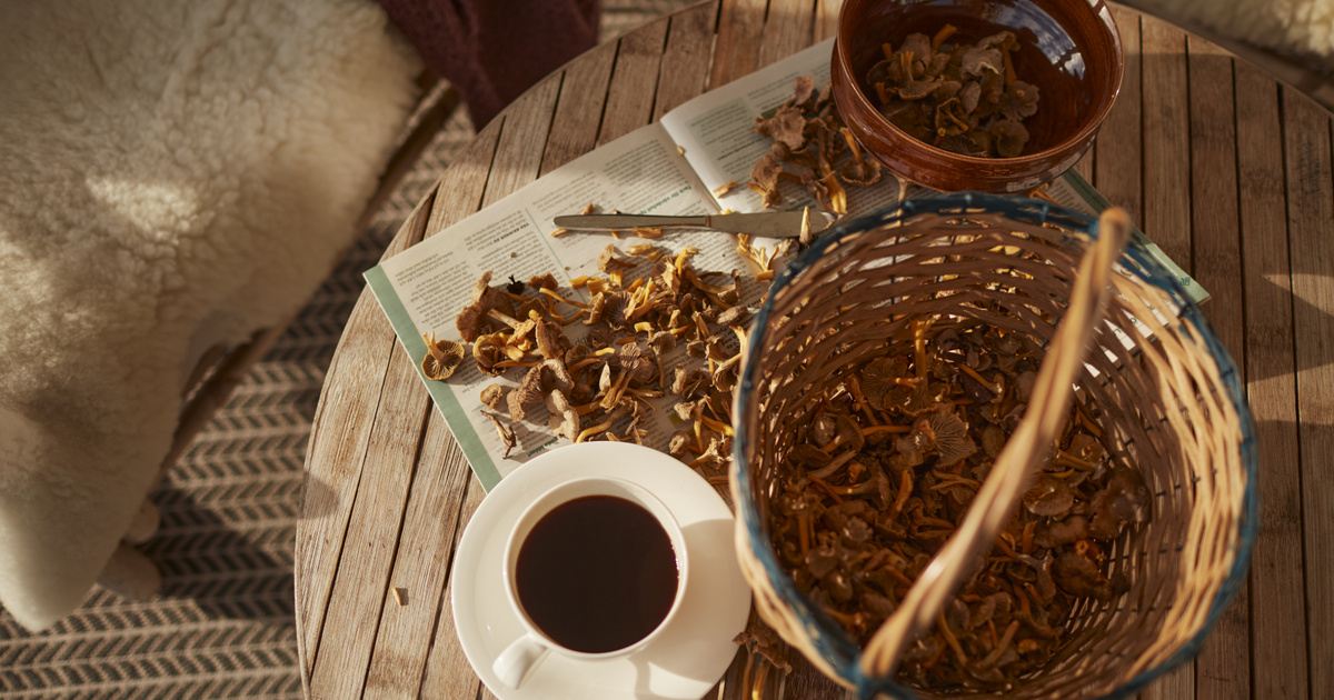 Tényleg helyettesíthetik a kávét a gyógygombák? Ez a legújabb egészségtrend