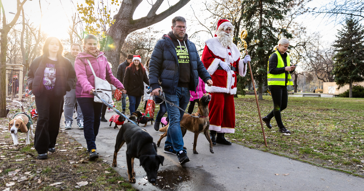 Index – Belföld – A Mikulás vezényletével zajlott a DOGZ Falkasétája a Városligetben