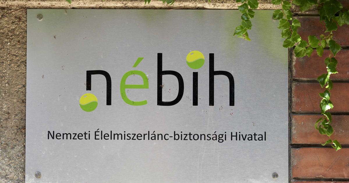 Lecsapott a Nébih, sertéshúsok, savanyú káposzta és a karácsonyi édességek előállítását vizsgálta