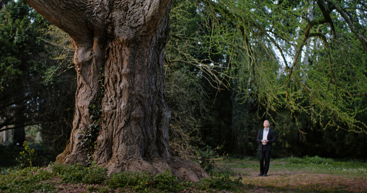 Teltházas premier előtti vetítések 18 városban, már látható a díjnyertes magyar alkotás