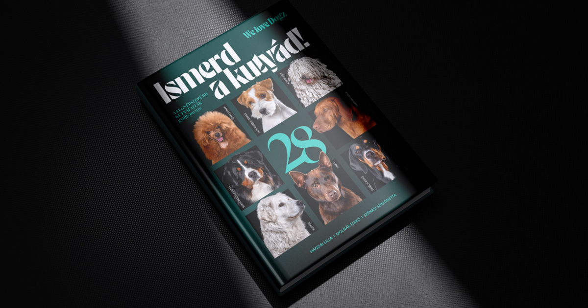 A yorkshire terrier is tud balettozni, de csak A hattyú halálát