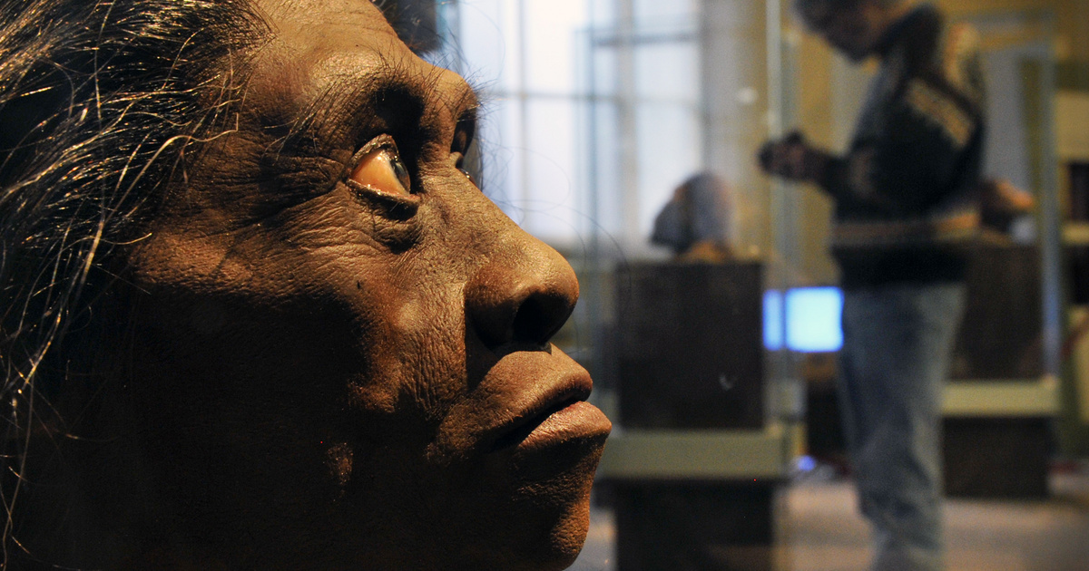 Végzetes lehetett a hobbitok és a modern emberek találkozása