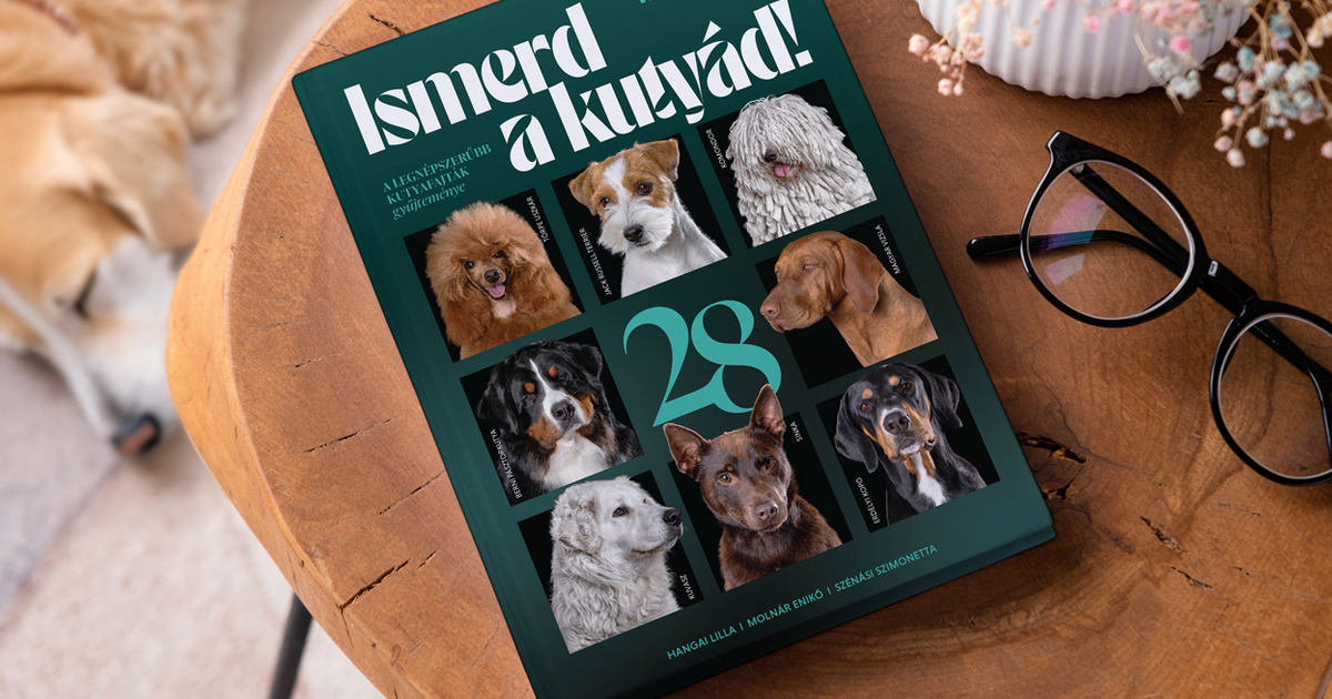 Milyen kutya illik hozzád? – Megjelent a We Love Dogz újító szemléletű fajtakalauza