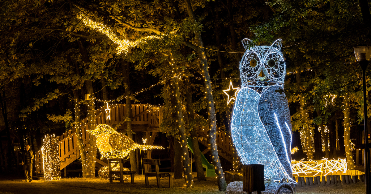 Téli fénycsodák öt városban (x)