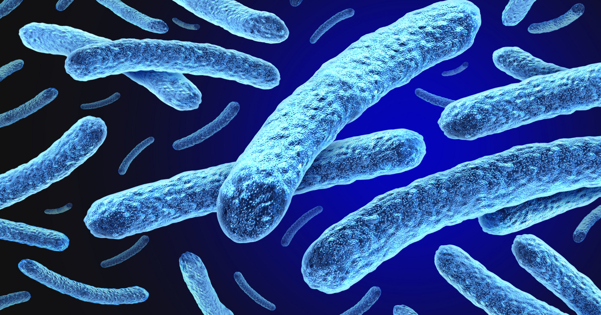 Leprás megbetegedést igazoltak a szomszédban: 44 éve nem történt ilyen