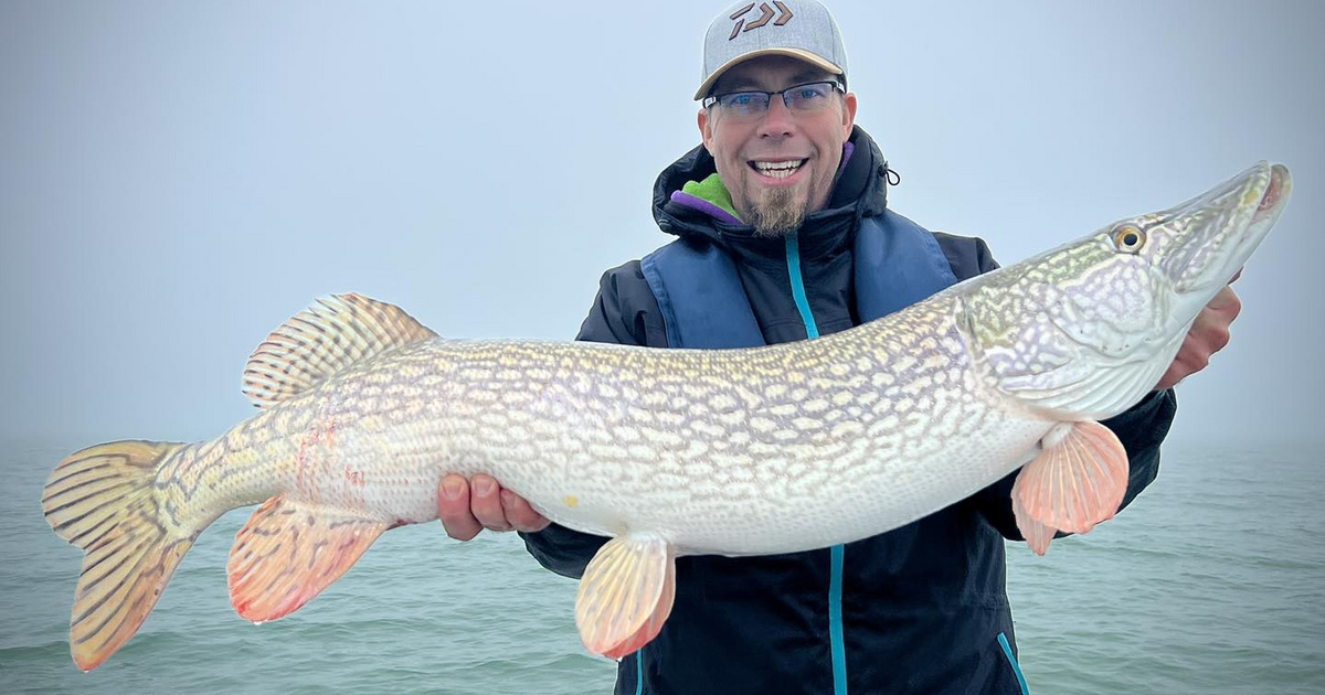 Hatalmas csukát fogtak ki a Balatonból