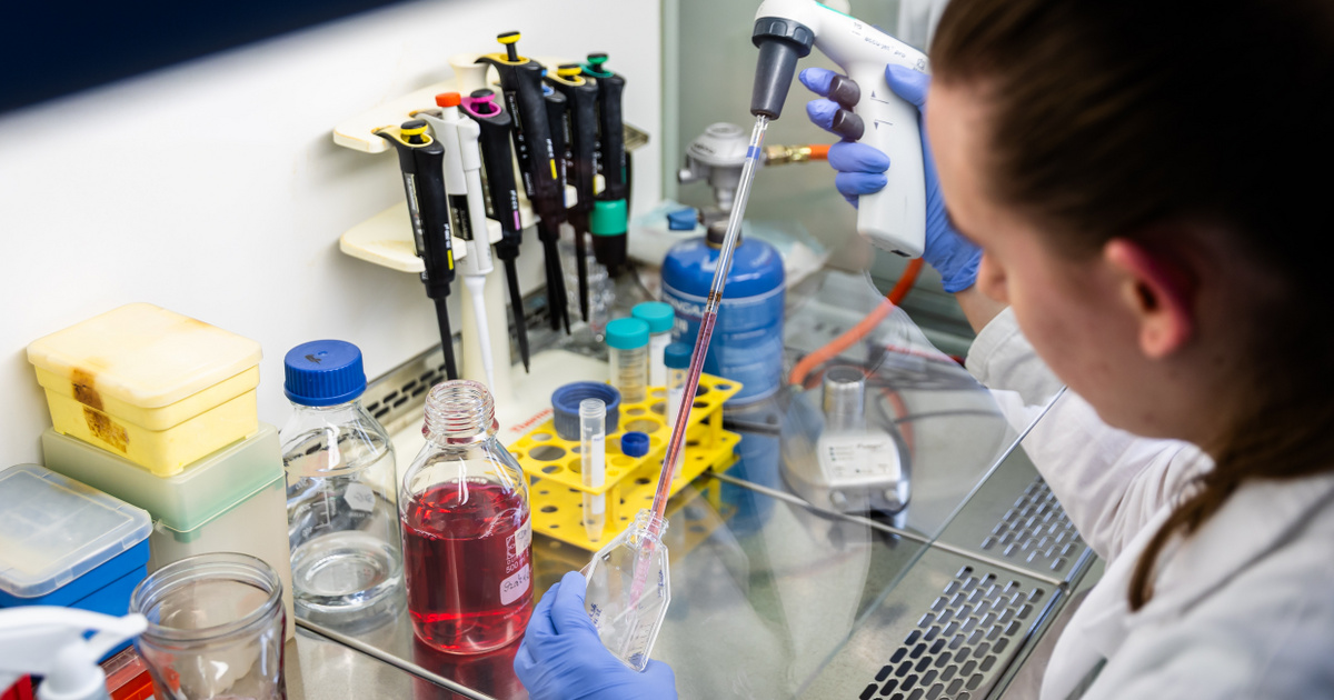 Már négy-öt éven belül meglehet a magyar rákgyógyszer