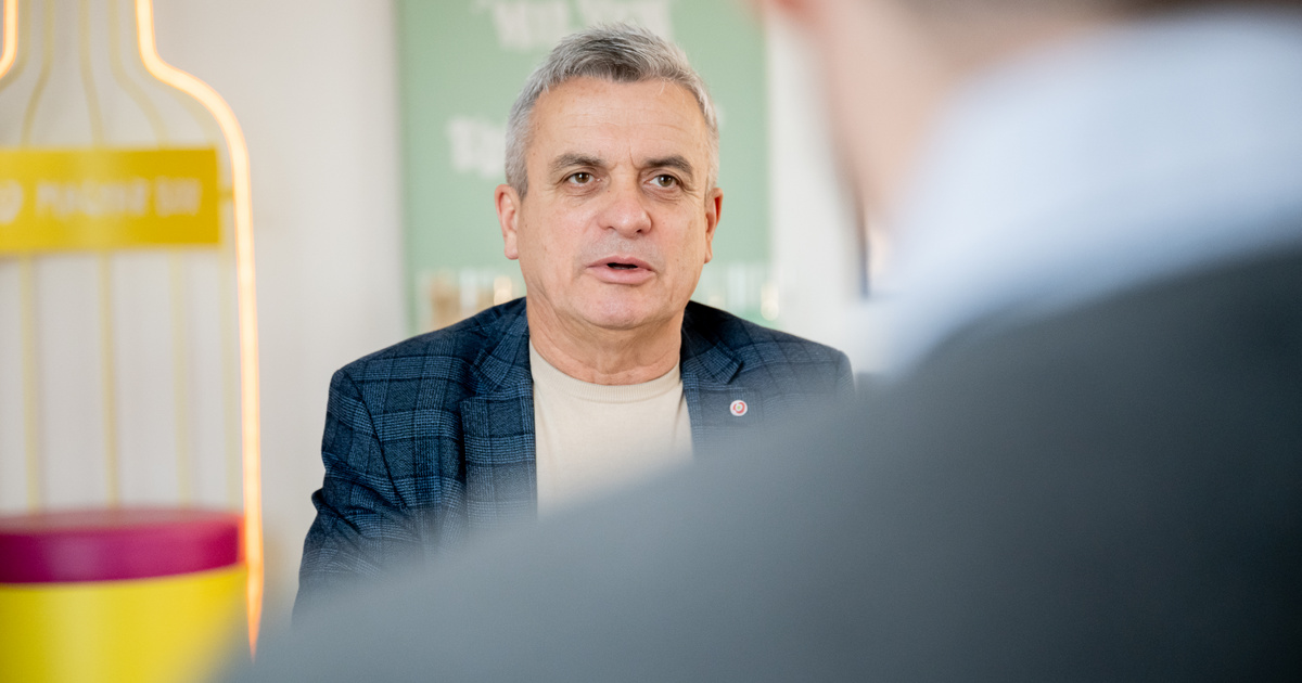 A tokaji dűlőktől New Yorkig: a magyar bor újra helyet követel magának a világban