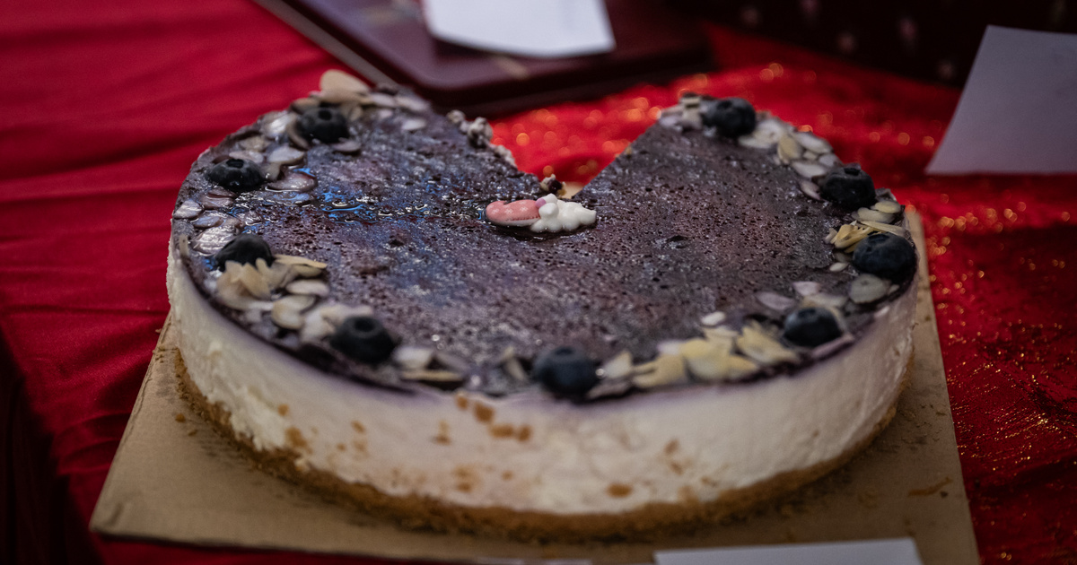 Ez az áfonyás sajttorta mindent vitt, mutatjuk a receptjét is
