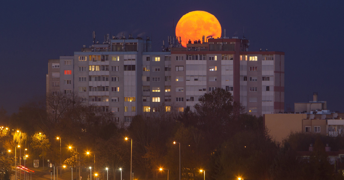Zavart okoz az erőben a telihold, így hat a balesetekre a magyar utakon