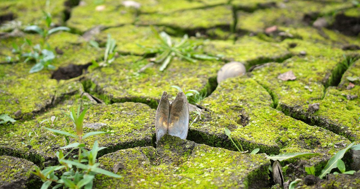 Hamarosan elbúcsúzhatunk ettől a magyar tavunktól: rossz hírek jöttek