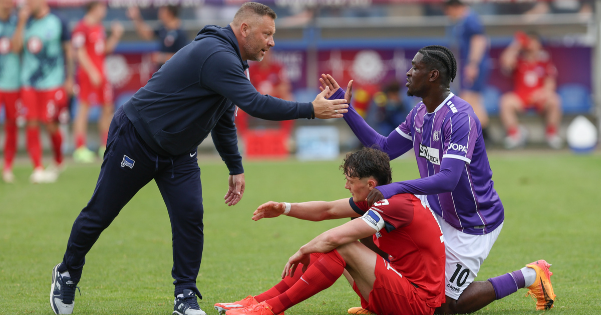 Dárdai Pál az Újpest új sportigazgatója