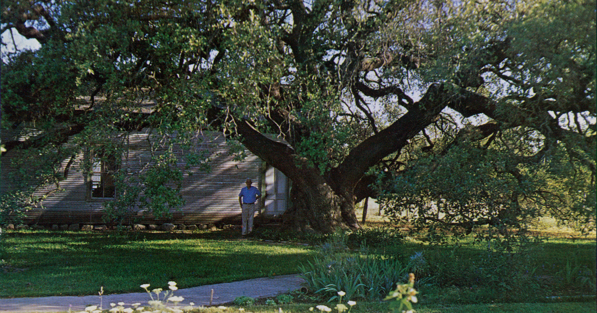 Végre, megöregedtünk!