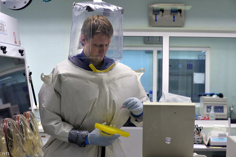 Kis Zoltán virológus az Országos Epidemiológiai Központ Nemzeti Biztonsági Laboratóriumának vezetője vírusmintákkal dolgozik egy speciális steril fülkében az intézmény virológiai laborjában 2014. augusztus 6-án.