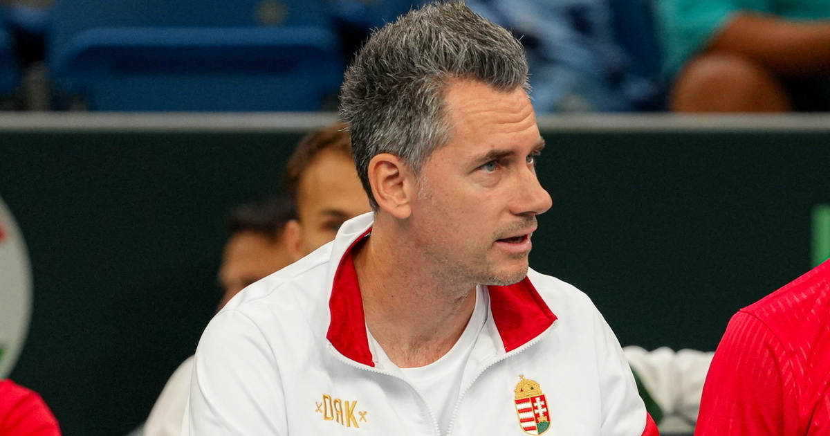 Autóbalesetet szenvedett a magyar teniszválogatott szövetségi kapitánya