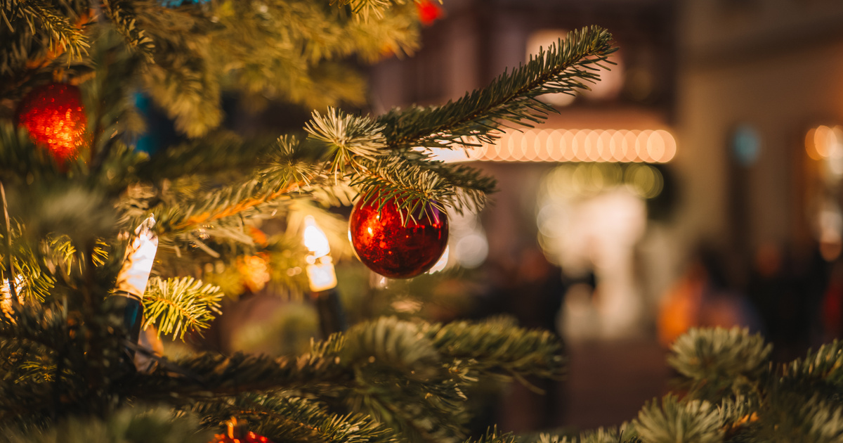 Karácsonyfa alatt született meg a kisbaba, akinek az édesanyja már nem jutott el a kórházig