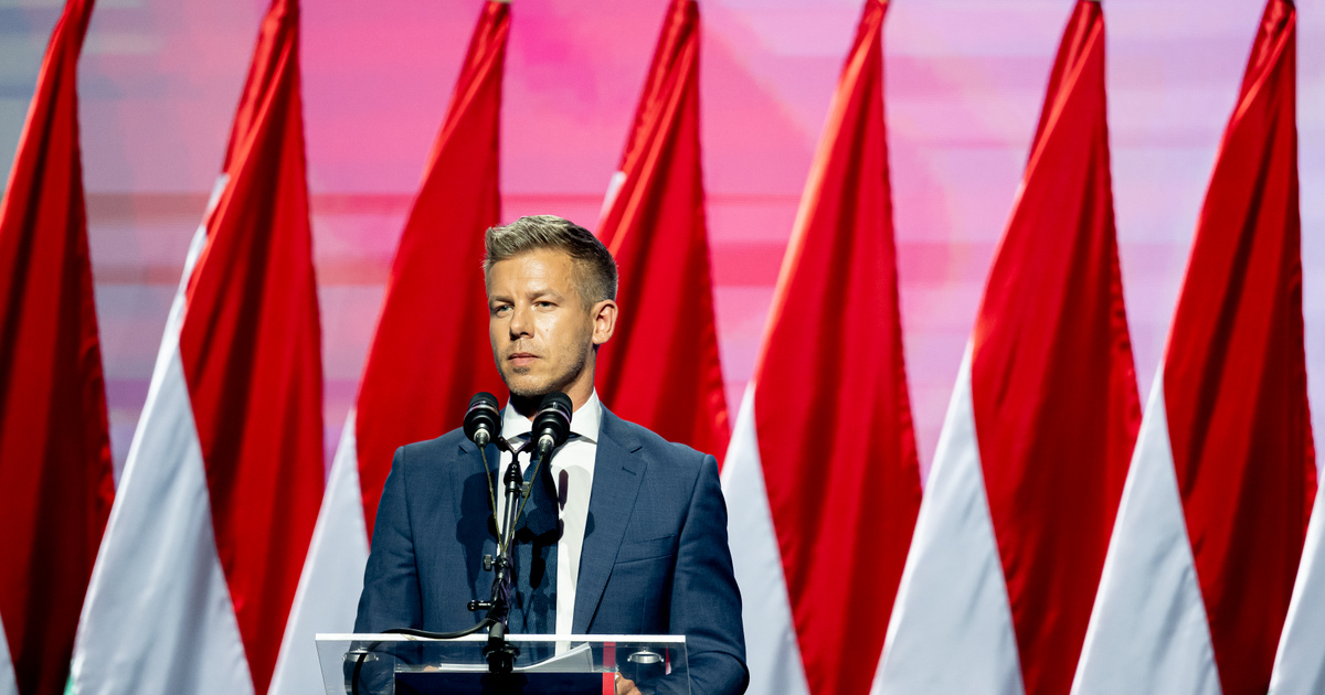 Magyar Péter lemondta a találkozóját a roma önkormányzattal, a szervezet szerint valótlan állításokat tett a pártelnök