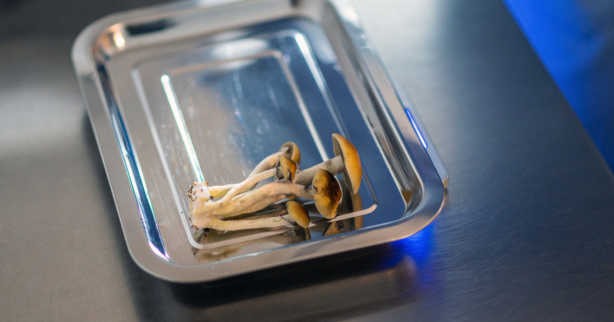 Erre a tiltott drogra esküsznek a mentális betegek, a brit orvosok küzdenek a legalizálásáért