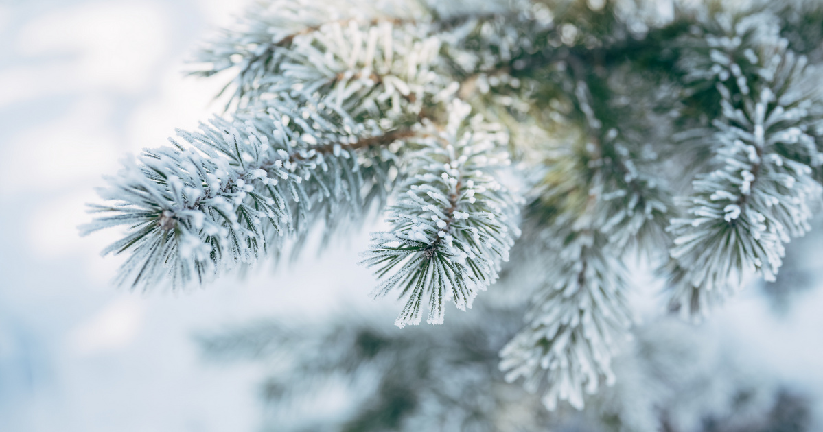 Előkerültek a szánkók: több városban is hóra ébredtek, jövő héten bekeményít a tél