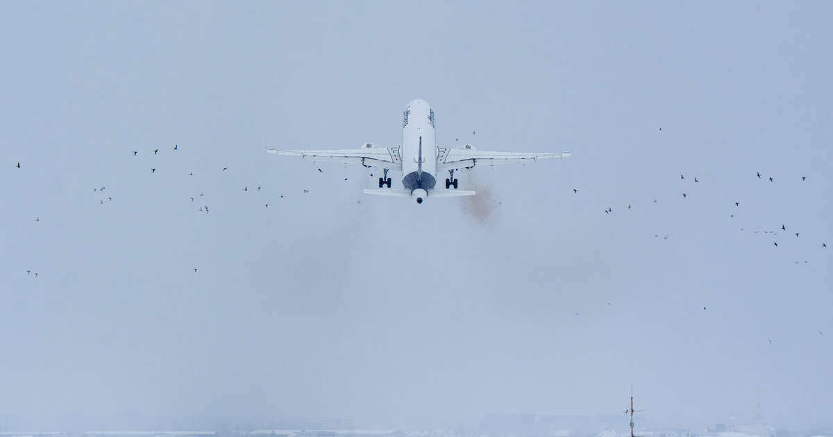 Képeken a madárrajjal ütköző repülőgép, amely kényszerleszállást hajtott végre Budapesten