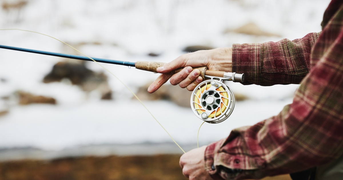 Meghökkentő méretű halat fogtak ki Gyékényesen befagyott orsóval: fotó készült az állatról