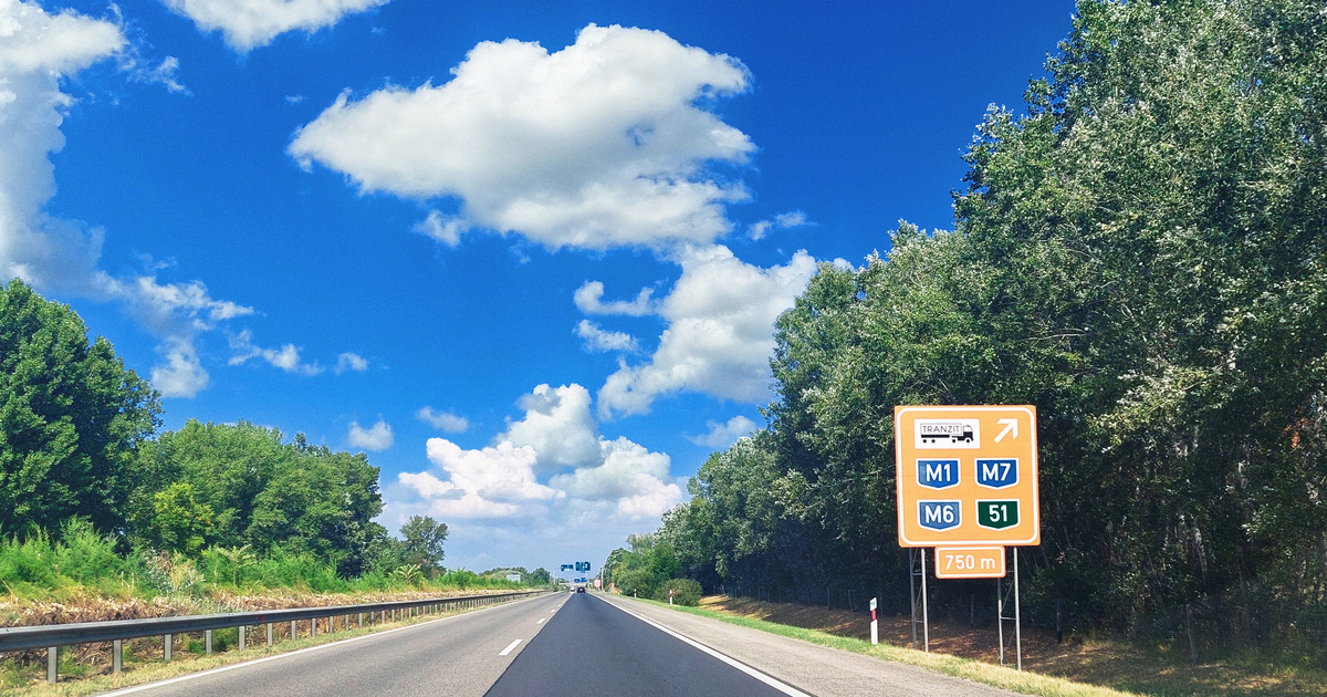 Nem hittek a szemüknek az M0-áson: ez a sérült állat totyogott a belső sávba