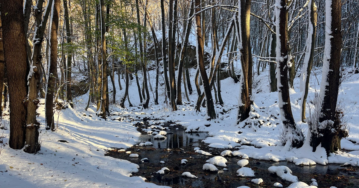 A dermesztő mínuszokban az erdőben töltötte az éjszakát a férfi - Ezért nem tudott telefonálni segítségért