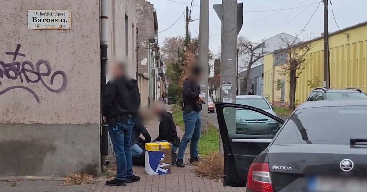 Index – Belföld – Több mint 80 millió forintnyi kábítószert foglalt le a rendőrség