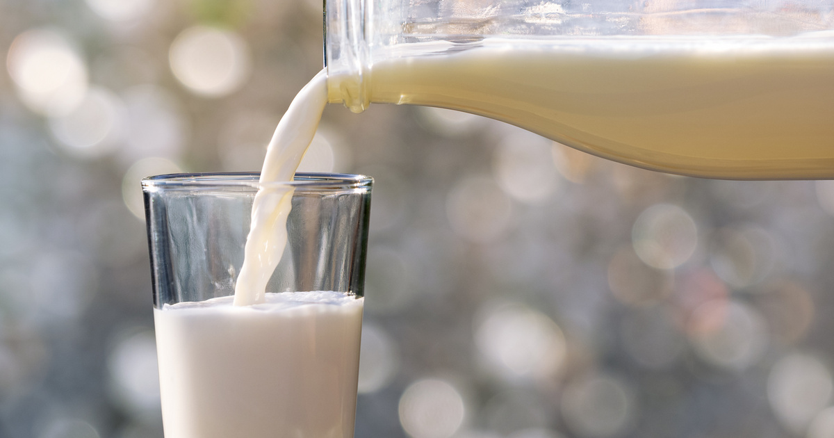 Veszélyes lehet, ha ilyen tejet iszol – Ne dőlj be a netes trendeknek!