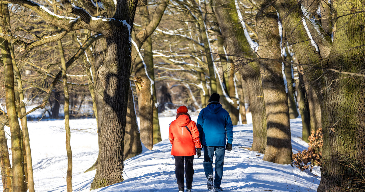Meglepően rövid a hosszabb élethez vezető út