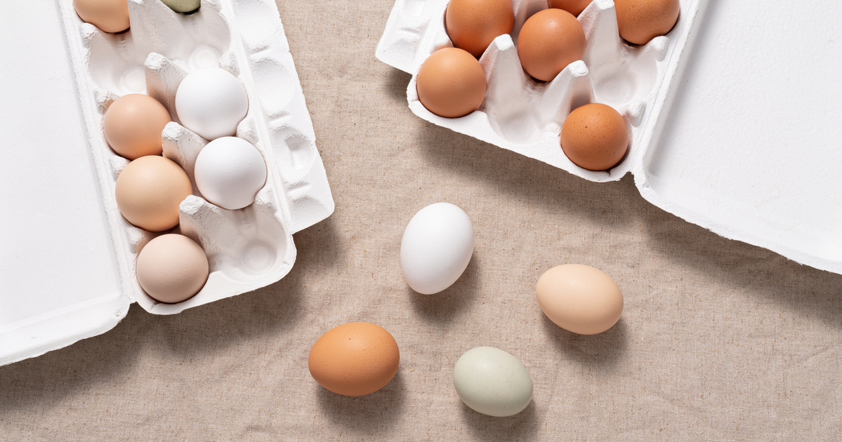 Így marad hónapokig friss a tojás: nagyanyáink módszere ma is működik